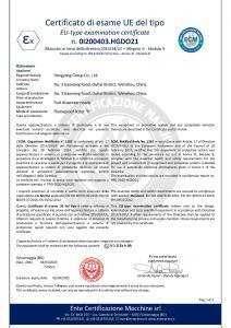 Nozzle 0I200403.HGDO21 ATEX